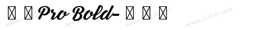 日产Pro Bold字体转换